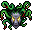 Medusa's Head
