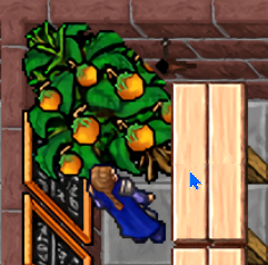 Harvest step one