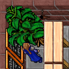 Harvest step two